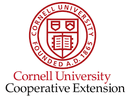 Cornell University Cornell University